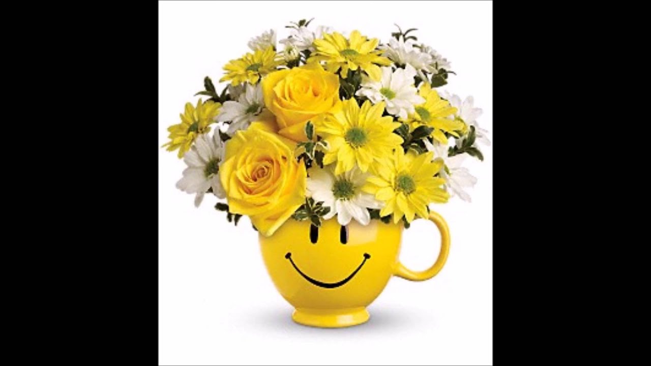 Florist Royal Oak MI 2486022285 YouTube