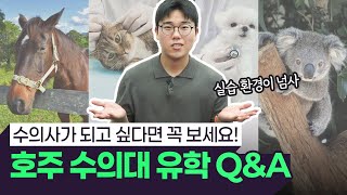 호주 수의대 유학, 진짜 어떨까? | UQ 유학생이 직접 말해줍니다