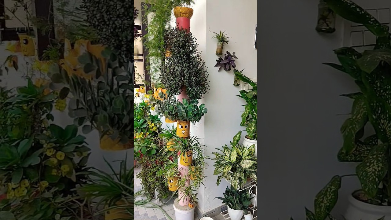 #garden #nature #homegardening #terracegardenindia #gardeningideas #flowers