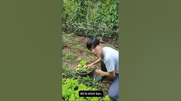 "Giàu chưa chắc sướng nhưng nghèo chắc chắn khổ" #chualanh