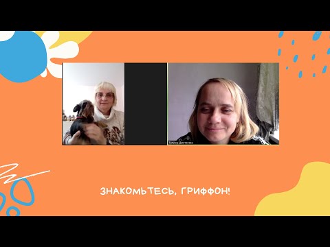 БЕЛЬГИЙСКИЙ ГРИФФОН: что нужно знать о породе перед покупкой