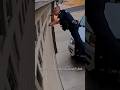 أذكى جريمة قتل في تاريخ أمريكا