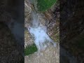 氷川きよし なみだ船 #히가와 키요시