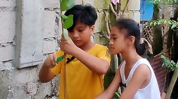 marcotting grade 6 performance task