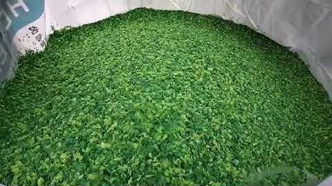 Material sorting machine to purify PP/PE, color sorting machine color classification