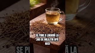 Retenție De Apă Și Rinichi „Leneși”? Ceaiul Din Cozi De Cireșe Folosit Primăvara