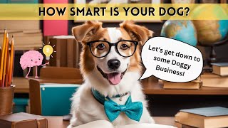 How Smart Is Your Dog?' (The Canine Mind )