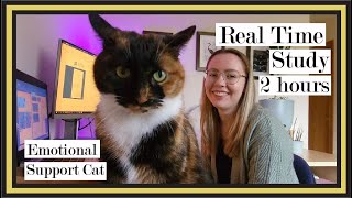 Immersive study with me (no music) | 2 hours of ASMR typing with sleepy kitty cat napping