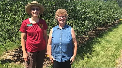Prairie Yard & Garden: Small Hardy Fruits