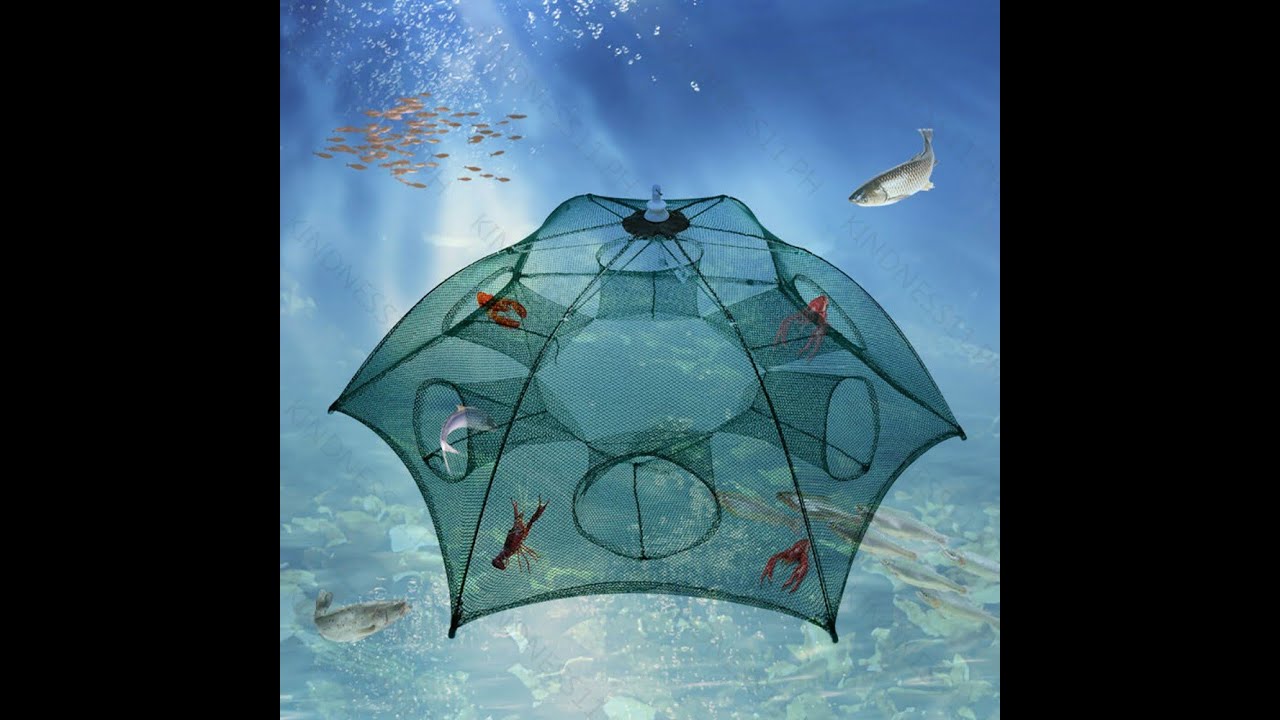 PORTABLE Fish Net Trap with 6 holes Ordered Online, Unwrapping