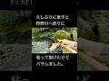 【伊豆の釣り】痛恨のバラしシーンです。
