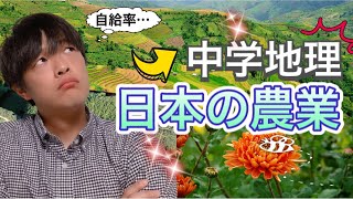 【中学地理】日本の農業（第一次産業・農林水産業）/高校受験・中学テスト対策解説授業