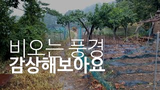 공주 의당면 어느 마을. 비오는 풍경 🥰 #산책 #공주 #공주원로원 #요양원 #힐링  #여행