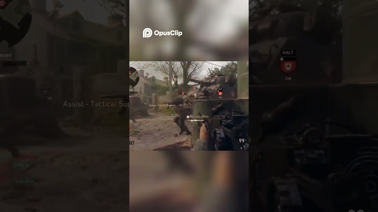 INSANE Wood Shot Through Wall Kills Two Enemies! 