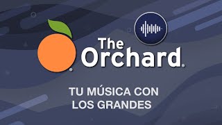 COMO DISTRIBUIR TU MÚSICA GLOBALMENTE: Sony Music / The Orchard 