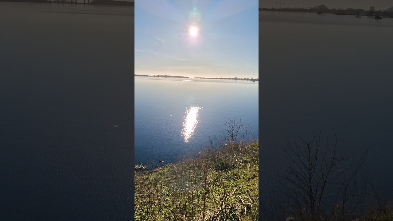 Valbyparken with a view over Kalveboderne