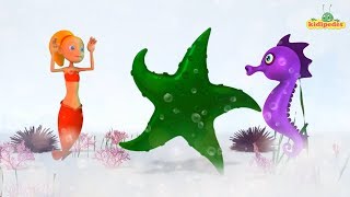 3D Color Song I Nursery Rhyme Colours Song For Kids I Kindergarten Colors Rhymes Songs For Children