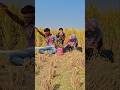 #funny #comedy #funny #video