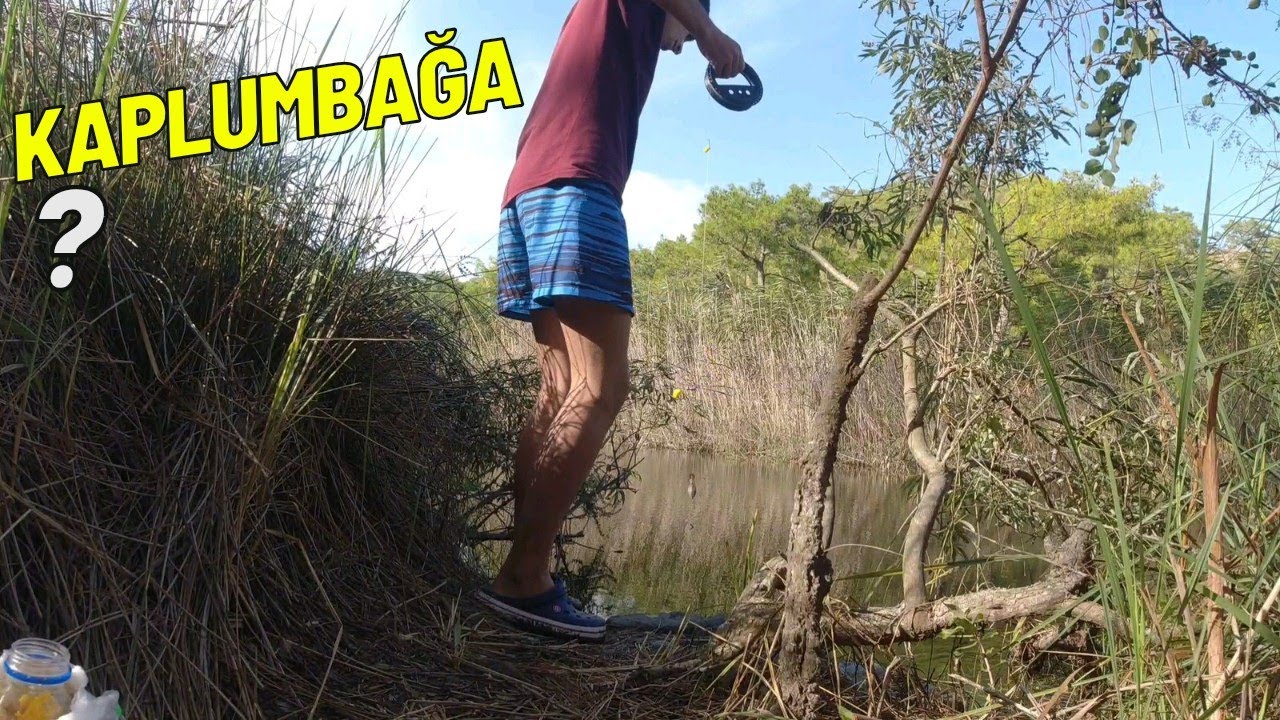 OLTA İLE KAPLUMBAĞA TUTUYORDUM ~65