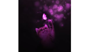 Cat Glow / Glowing Cat Photo Manipulation in Adobe Photoshop screenshot 1