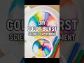 DIY Colour Burst | Science Experiment for Kids | Capillary Motion with Kitchen Towel