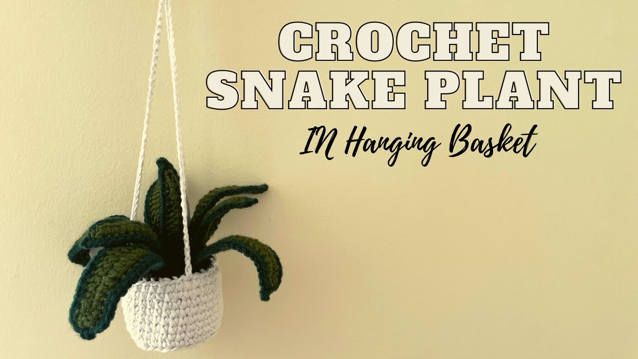 How to Crochet a Snake Plant in Hanging Basket