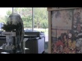 Kim Wolter at Wolter Pool retail store