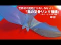 世界初の発明？かもしれない！『鳥の叉骨リンク機構』-ドルフィンコウモリ編-第3話　2021年6月8日