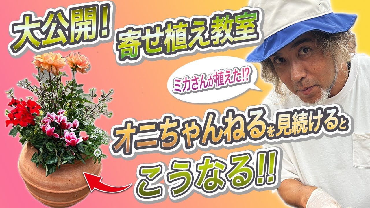 初公開！オニちゃんの寄せ植え教室 初心者ミカさんも出来た！秋冬の
