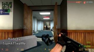 Famous Counter-Strike: Source Beta Net Worth