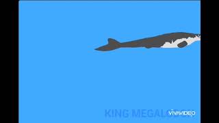 megalodon hunt mosasaurus