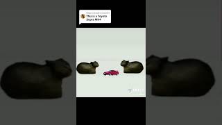 Creditos A Yopblip En Tiktok