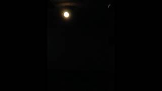 İçimde Ölen Biri Var - Matizz Bar Muğla