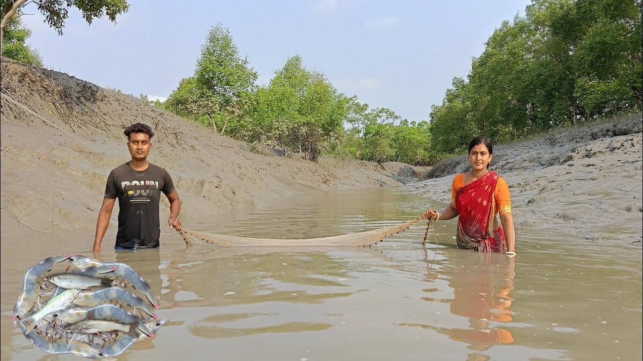 আজ জালে চিংড়ি মাছ সাদা হয়ে গেল ! তার সাথে গুলে মাছ ধরলাম || Nandita Sundarban life