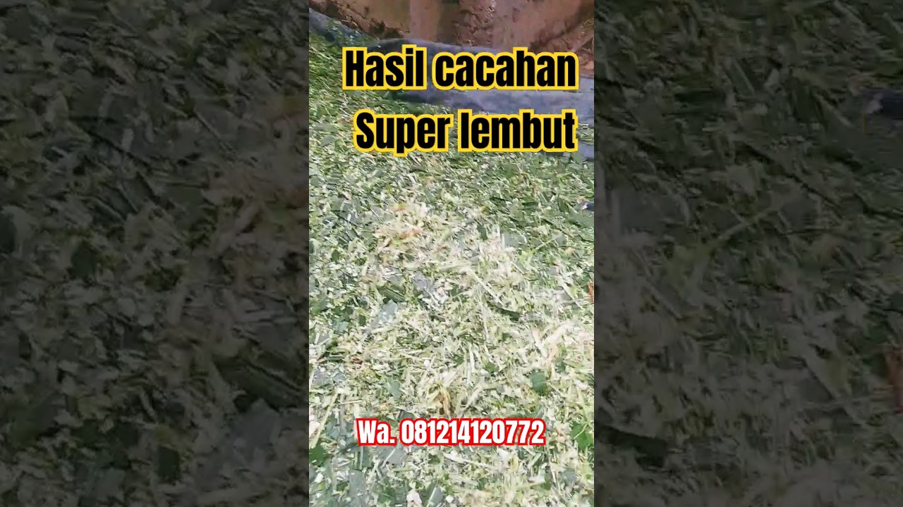 mesin mesin pencacah rumput 