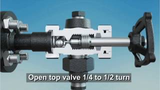 Commissioning a Glass Level Gauge with a Safety Ballcheck Valve