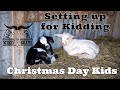 Christmas Day Kids | Prepairing For Kidding | Our Kidding pasture setups | Kiko Meat Goats