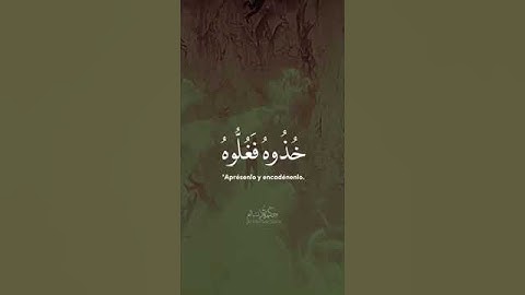 مقطع من سورة الحاقة بصوت الشيخ محمد المحيسني