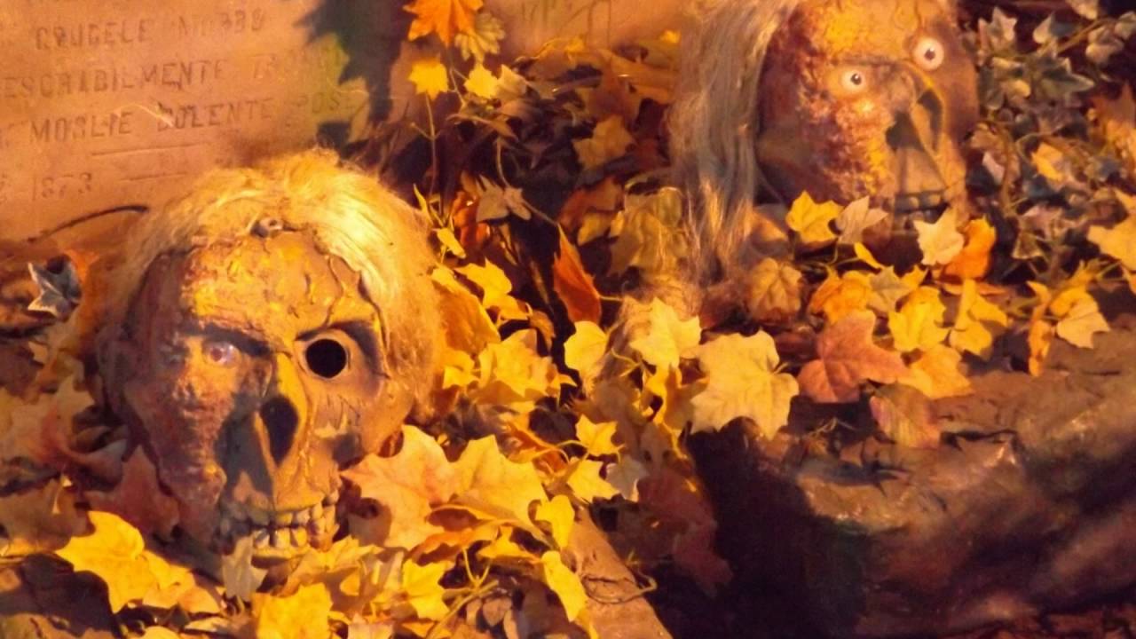 Fotoshow: Spuk Geisterbahn (Geistercoaster) Sipkema