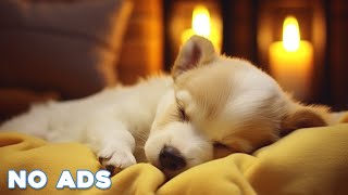 12 HOURS Soothing Music For Dogs 🎵🐶 Anti Separation Anxiety 🐶💖 Stress Relief Music