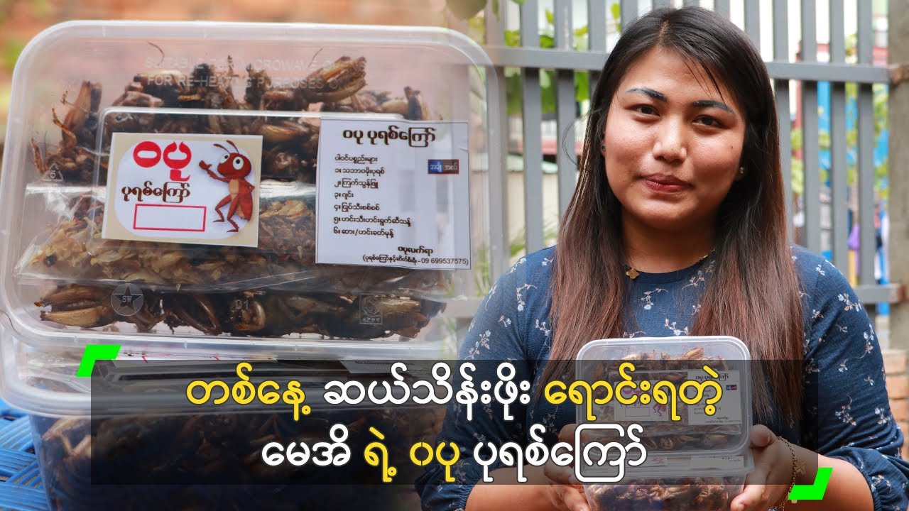 တစ်နေ့ ဆယ်သိန်းဖိုး ရောင်းရတဲ့ မေအိ ရဲ့ ၀ပု ပုရစ်ကြော်