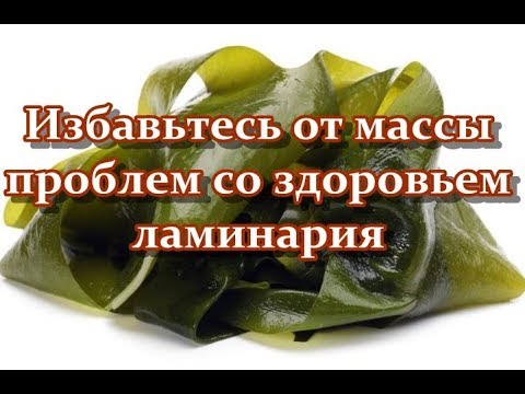 Видео: Ламинария - дар на морето, укрепващ здравето