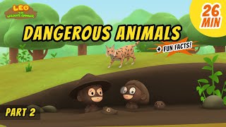 Dangerous Animals (Part 2/3)  Animals Stories for Kids | Educational | Leo the Wildlife Ranger