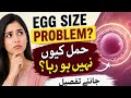 Anday ka size Kitna Hona chea? Follicle size explained 