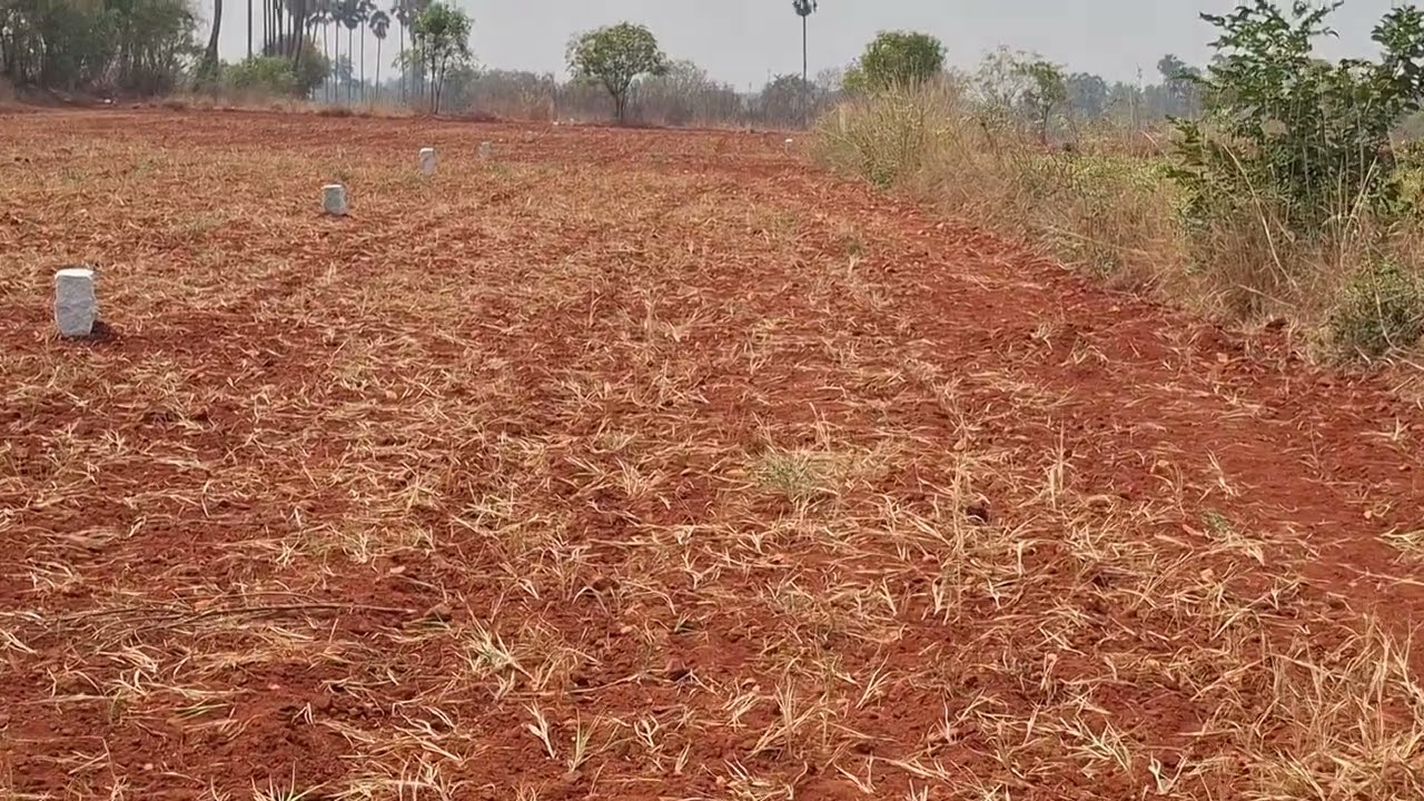 ஈரோடு மாவட்டம் அந்தியூர் ஒலகடம் கற்ரோடு1ஏ. 30 செ.மிக குறைவான விலை6379979514