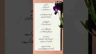 A Wife Is the Peace, Love, and Soul of a Home #faimly #motivational #hearttouching #wisdomwords