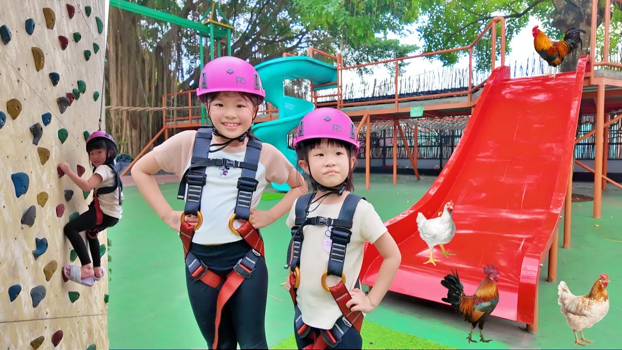 Main Rintangan Outbond, Main Perosotan, Panjat Dinding dan Kasih Makan Ayam