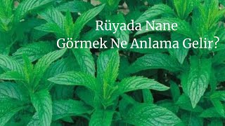 Rüyada Nane Görmek Ne Anlamadır