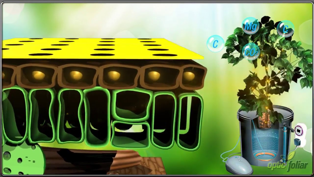 Optic Foliar Watts & Rev