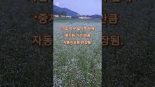 3개월 이상 운전을 안한다면, 자동차보험 일시중지